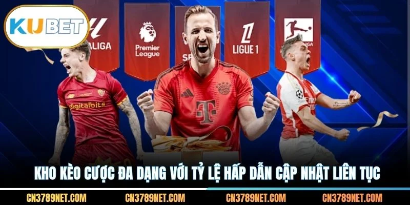 Kho kèo cược đa dạng với tỷ lệ hấp dẫn cập nhật liên tục